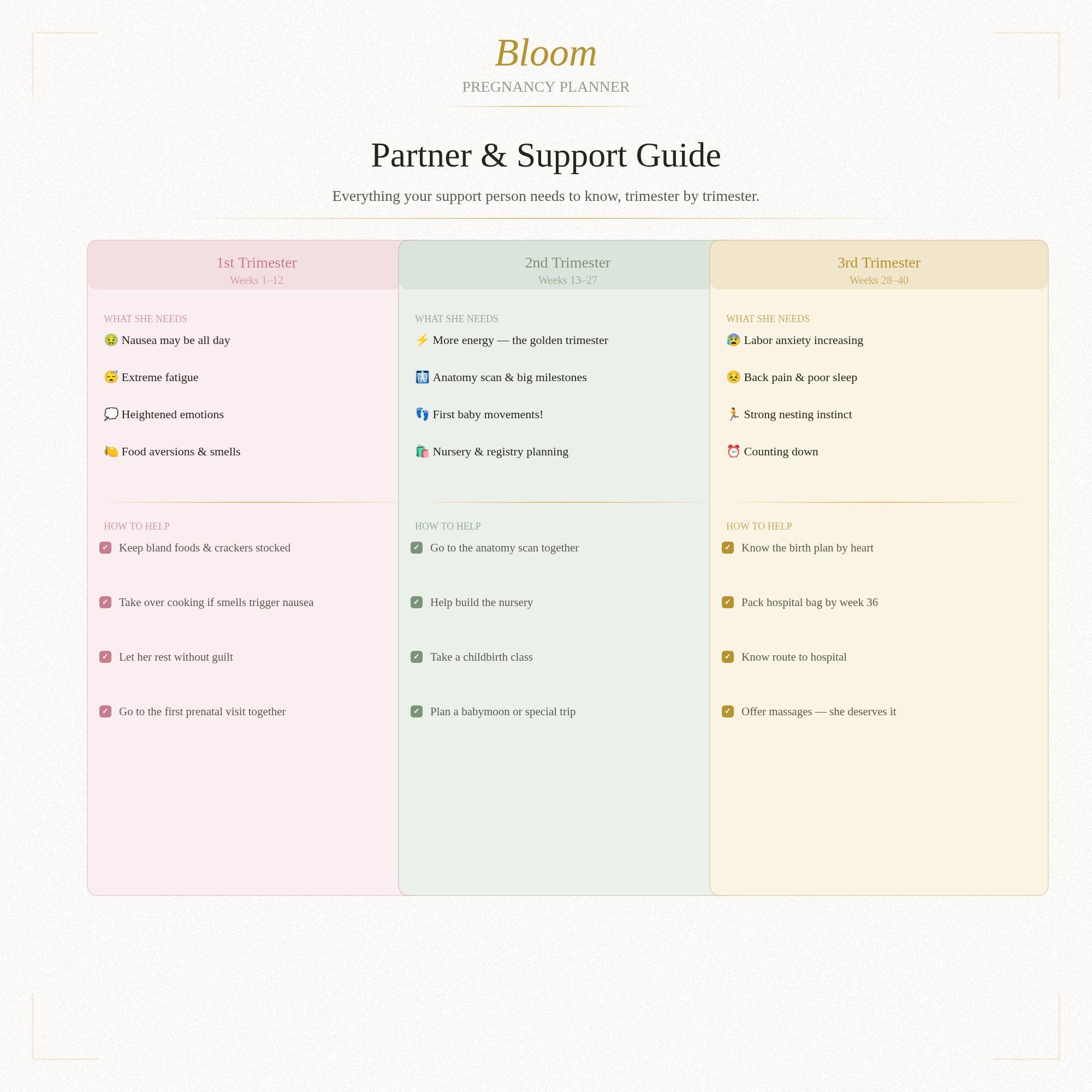 Interactive Pregnancy Planner | Week-by-Week Tracker, Birth Plan (Digital Download)